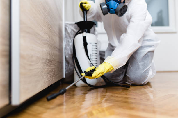 Best Cockroach Control Services  in Ashton, ID