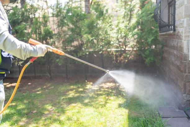 Best Local Pest Control Services  in Ashton, ID