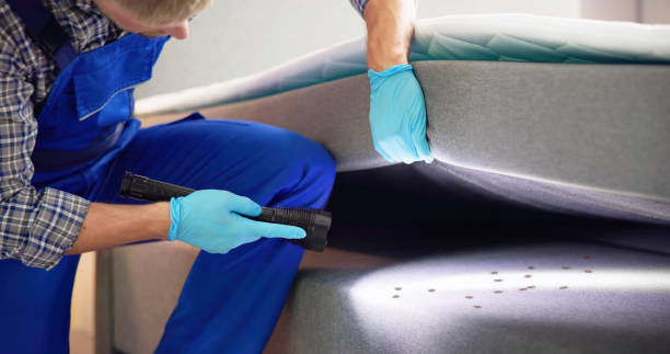 Trusted Ashton, ID Pest Control Experts